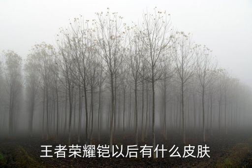 王者荣耀铠以后有什么皮肤