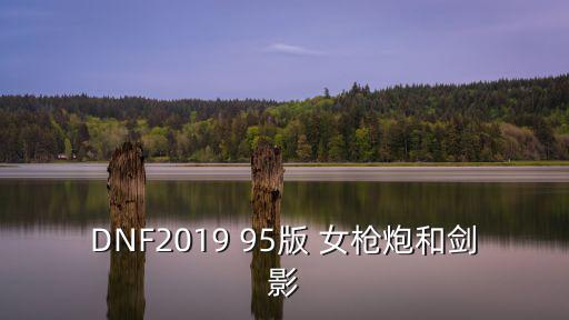 dnf剑影打什么属性，DNF2019 95版 女枪炮和剑影