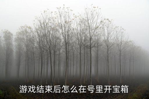 游戏结束后怎么在号里开宝箱