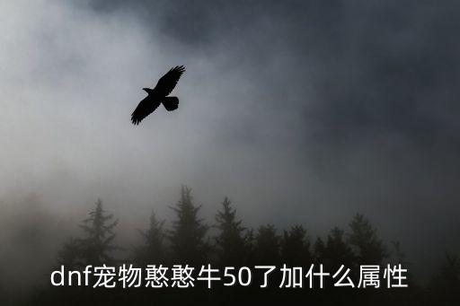 dnf宠物憨憨牛50了加什么属性