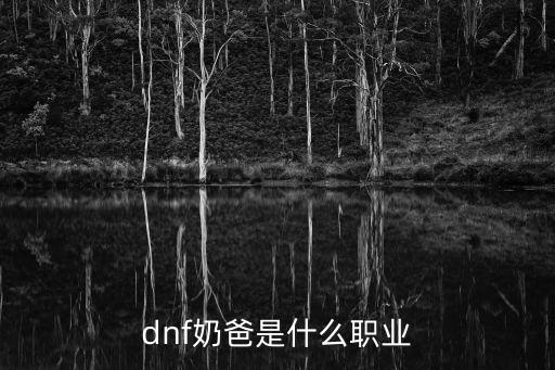 dnf奶爸是什么职业