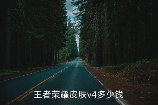 王者荣耀皮肤v4多少钱