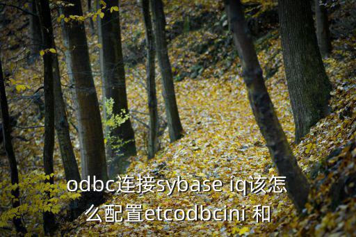 odbc连接sybase iq该怎么配置etcodbcini 和