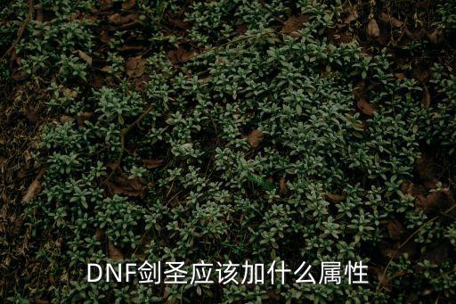 DNF剑圣应该加什么属性