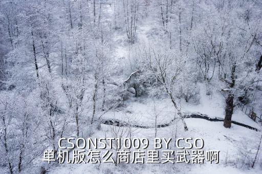 CSONST1009 BY CSO单机版怎么商店里买武器啊