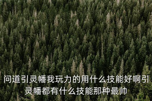 问道引灵幡我玩力的用什么技能好啊引灵幡都有什么技能那种最帅