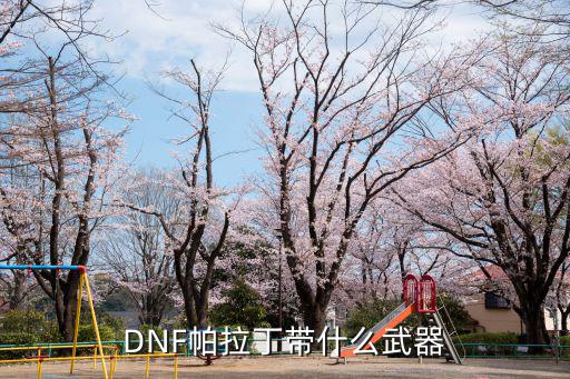 DNF帕拉丁带什么武器