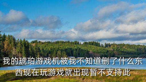 我的琥珀游戏机被我不知道删了什么东西现在玩游戏就出现暂不支持此