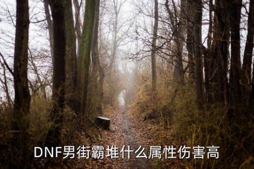 DNF男街霸堆什么属性伤害高