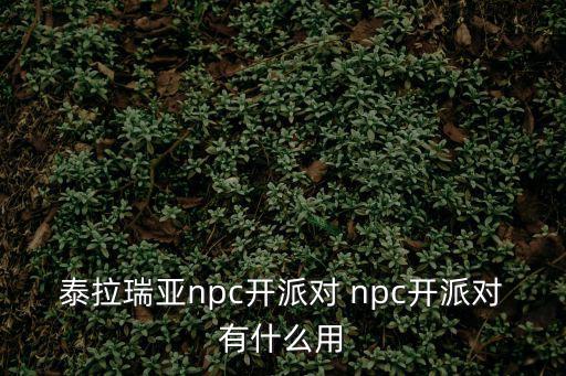 泰拉瑞亚npc开派对 npc开派对有什么用