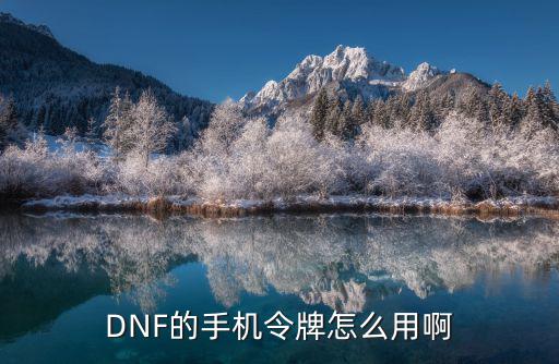 DNF的手机令牌怎么用啊