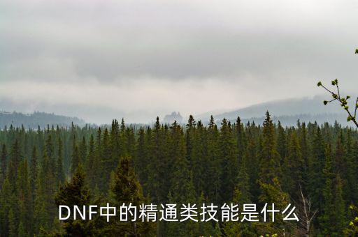 DNF中的精通类技能是什么