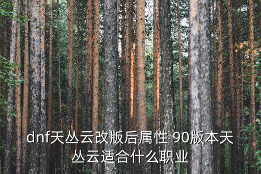 dnf天丛云改版后属性 90版本天丛云适合什么职业