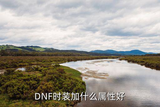 dnf上衣属性调什么好，DNF时装的属性加些什么好