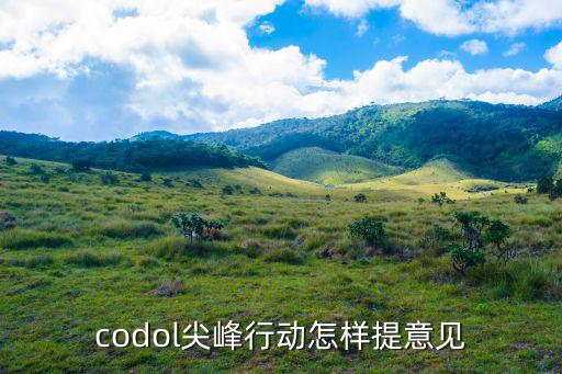 codol尖峰行动怎样提意见