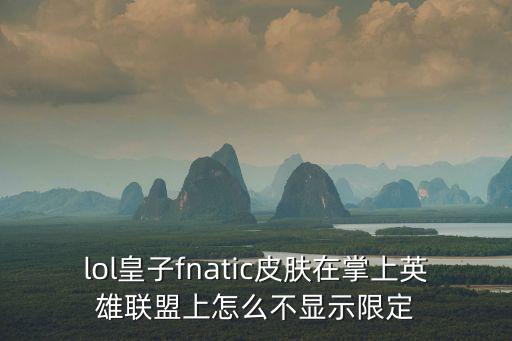 lol皇子fnatic皮肤在掌上英雄联盟上怎么不显示限定