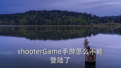 shooterGame手游怎么不能登陆了