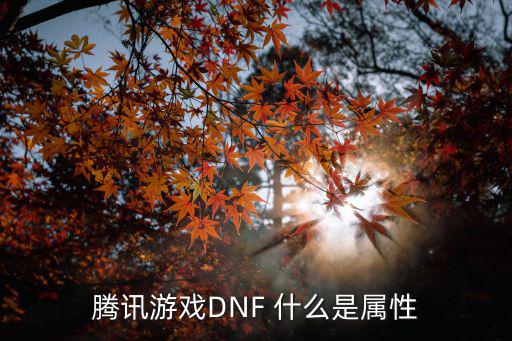 腾讯游戏DNF 什么是属性