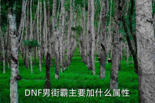 DNF男街霸主要加什么属性