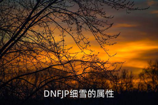 DNFJP细雪的属性