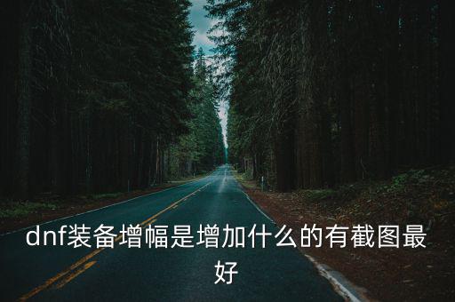 dnf装备增幅是增加什么的有截图最好