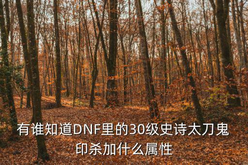 有谁知道DNF里的30级史诗太刀鬼印杀加什么属性