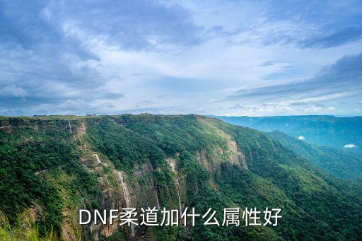 DNF柔道加什么属性好