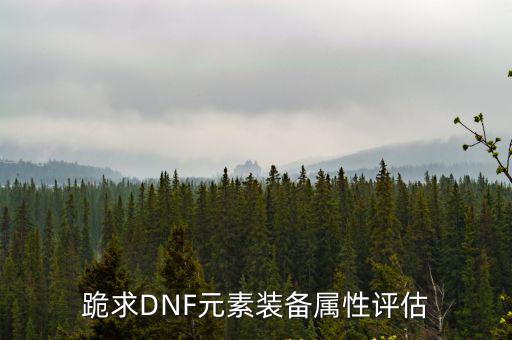 跪求DNF元素装备属性评估