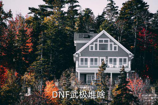 DNF武极堆啥