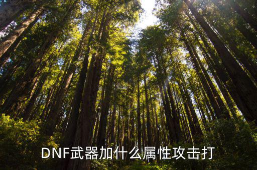 DNF武器加什么属性攻击打