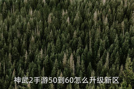 神武2手游50到60怎么升级新区