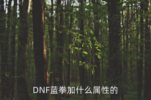 DNF蓝拳加什么属性的