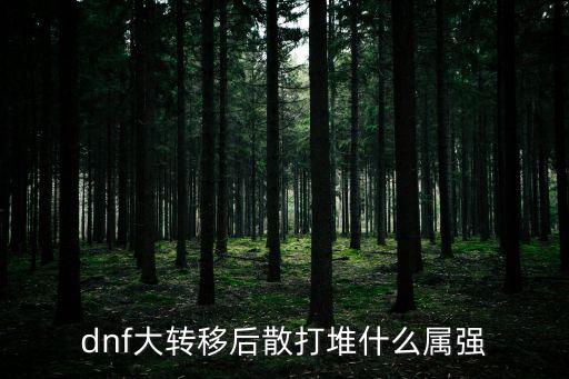 dnf大转移后散打堆什么属强