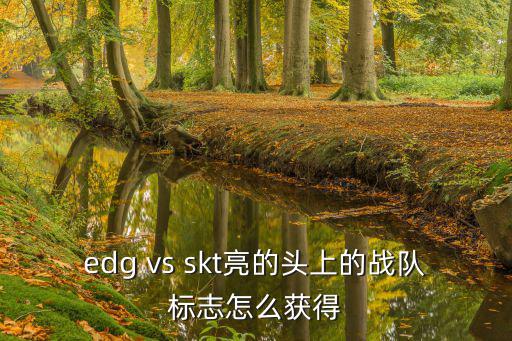 edg vs skt亮的头上的战队标志怎么获得