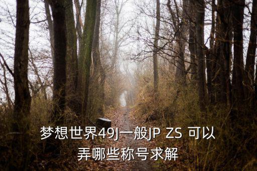 梦想世界49J一般JP ZS 可以弄哪些称号求解