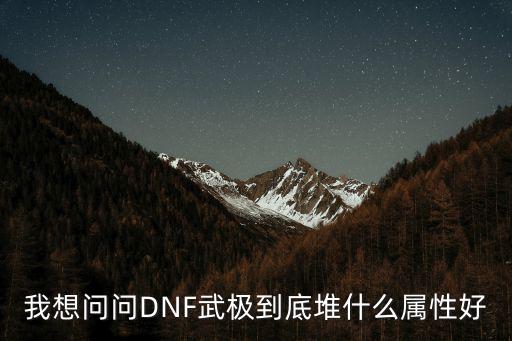 我想问问DNF武极到底堆什么属性好