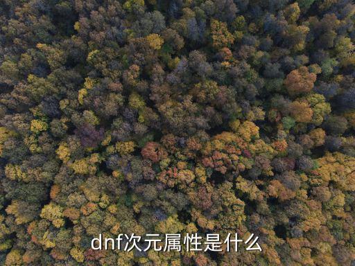 dnf次元是什么属性，DNF 新装备 次元的属性 有哪些属性对修罗有帮助