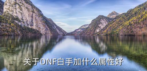 关于DNF白手加什么属性好