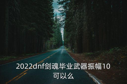 2022dnf剑魂毕业武器振幅10可以么