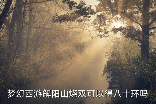 梦幻西游解阳山烧双可以得八十环吗