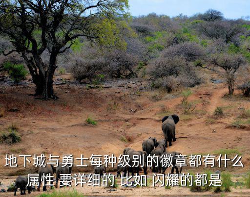 地下城与勇士每种级别的徽章都有什么属性 要详细的 比如 闪耀的都是