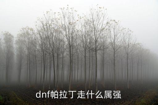 dnf帕拉丁走什么属强