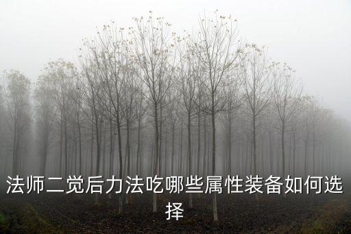 法师二觉后力法吃哪些属性装备如何选择