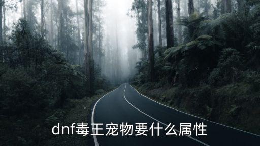 dnf毒王要什么属性，DNF毒王时装该弄什么属性