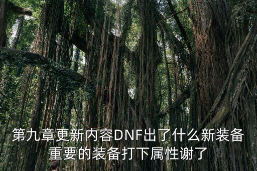 第九章更新内容DNF出了什么新装备重要的装备打下属性谢了