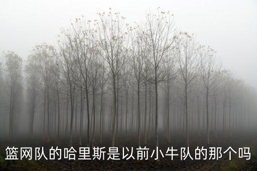 篮网队的哈里斯是以前小牛队的那个吗