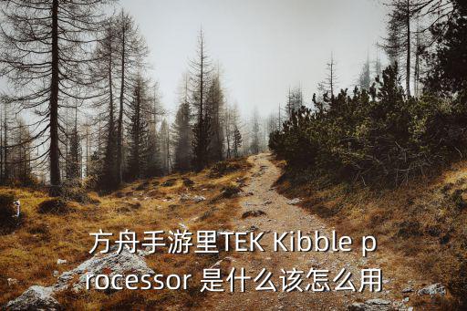 方舟手游里TEK Kibble processor 是什么该怎么用