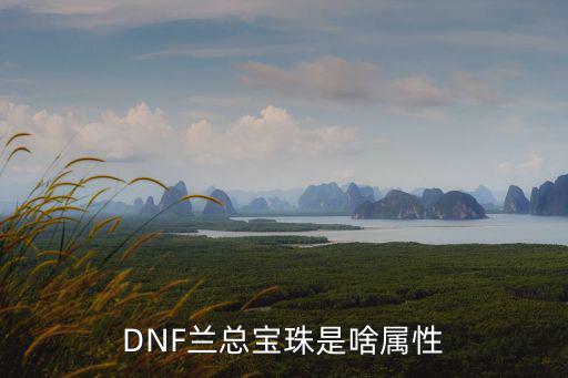 dnf机械异兰总什么属性，DNF兰总宝珠是啥属性