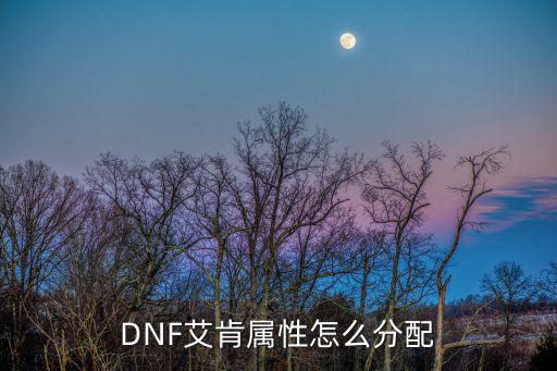 DNF艾肯属性怎么分配