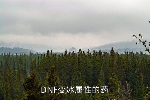 DNF变冰属性的药